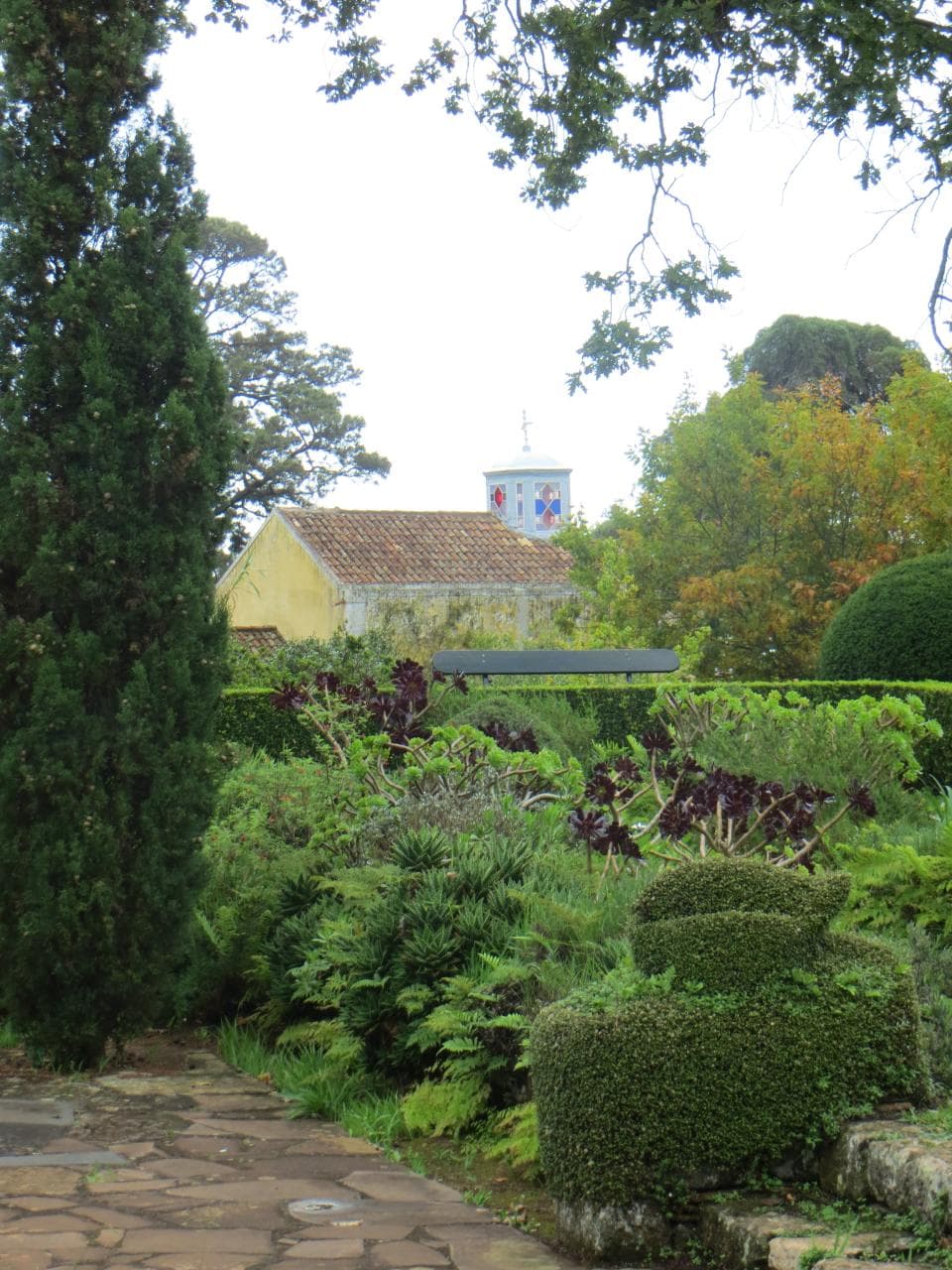 Palheiro estate gardens — photo by Vix_B, CC BY 2.0, via Wikimedia Commons