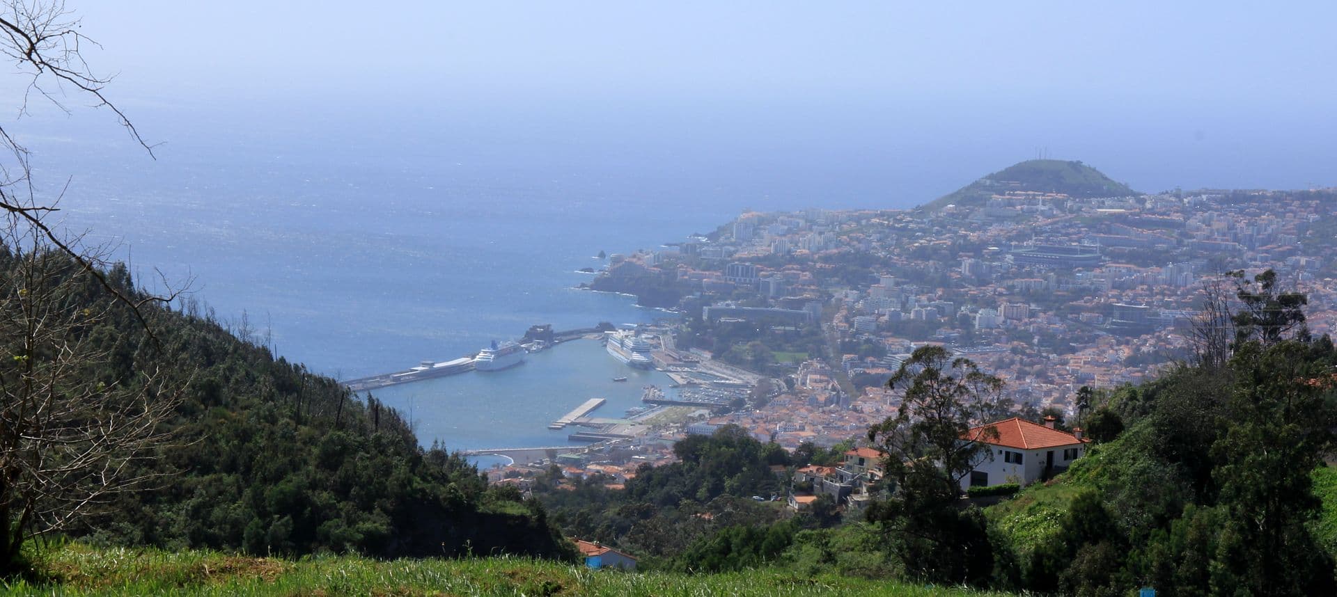 View from Palheiro estate to Funchal — photo by muffinn from Worcester, UK, CC BY 2.0, via Wikimedia Commons