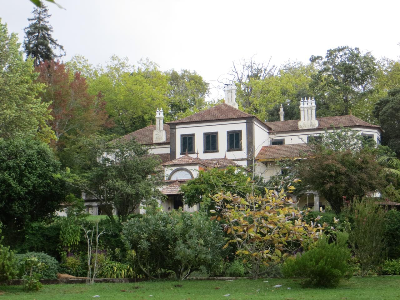 Palheiro estate gardens — photo by Vix_B, CC BY 2.0, via Wikimedia Commons