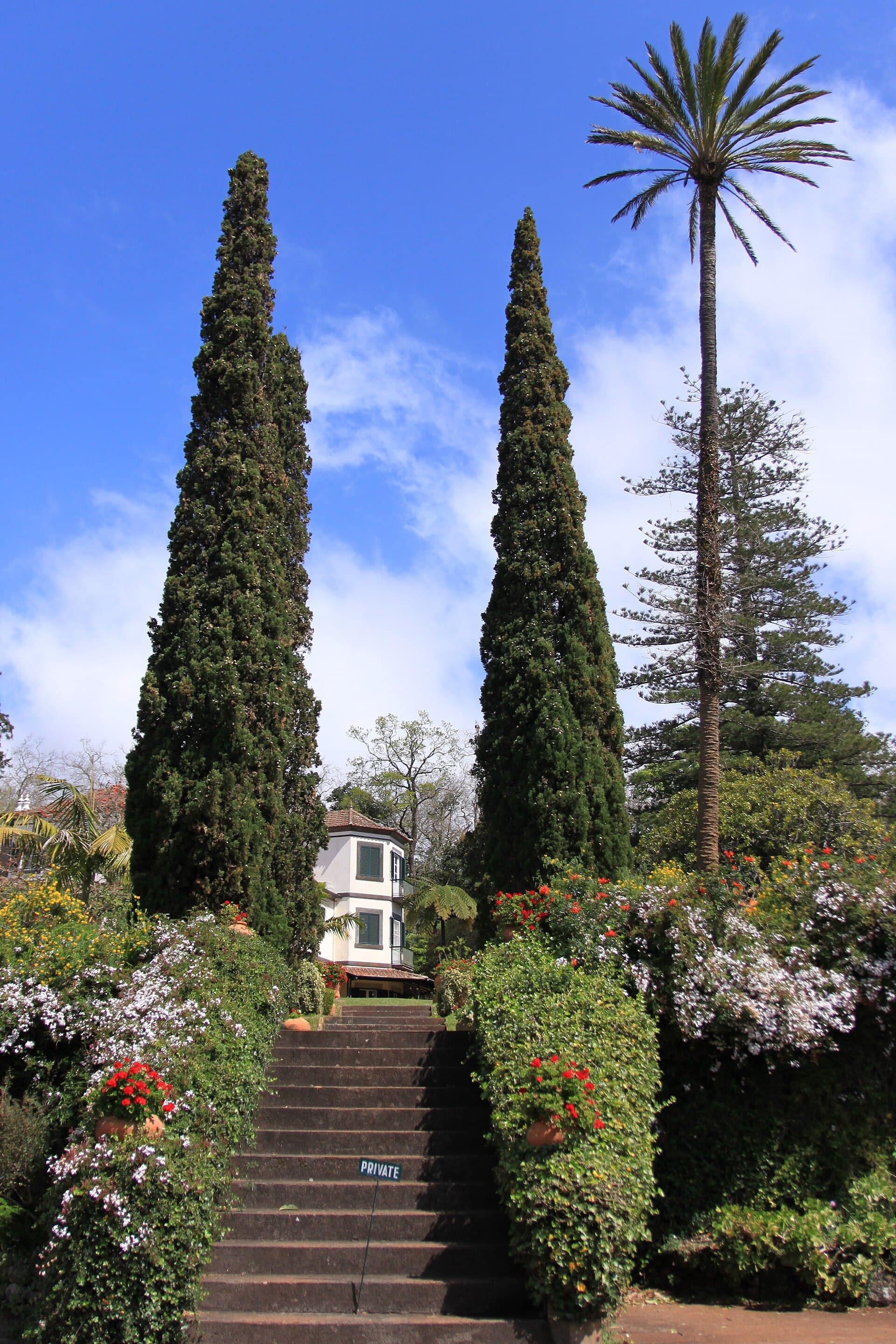Palheiro Gardens — photo by muffinn from Worcester, UK, CC BY 2.0, via Wikimedia Commons