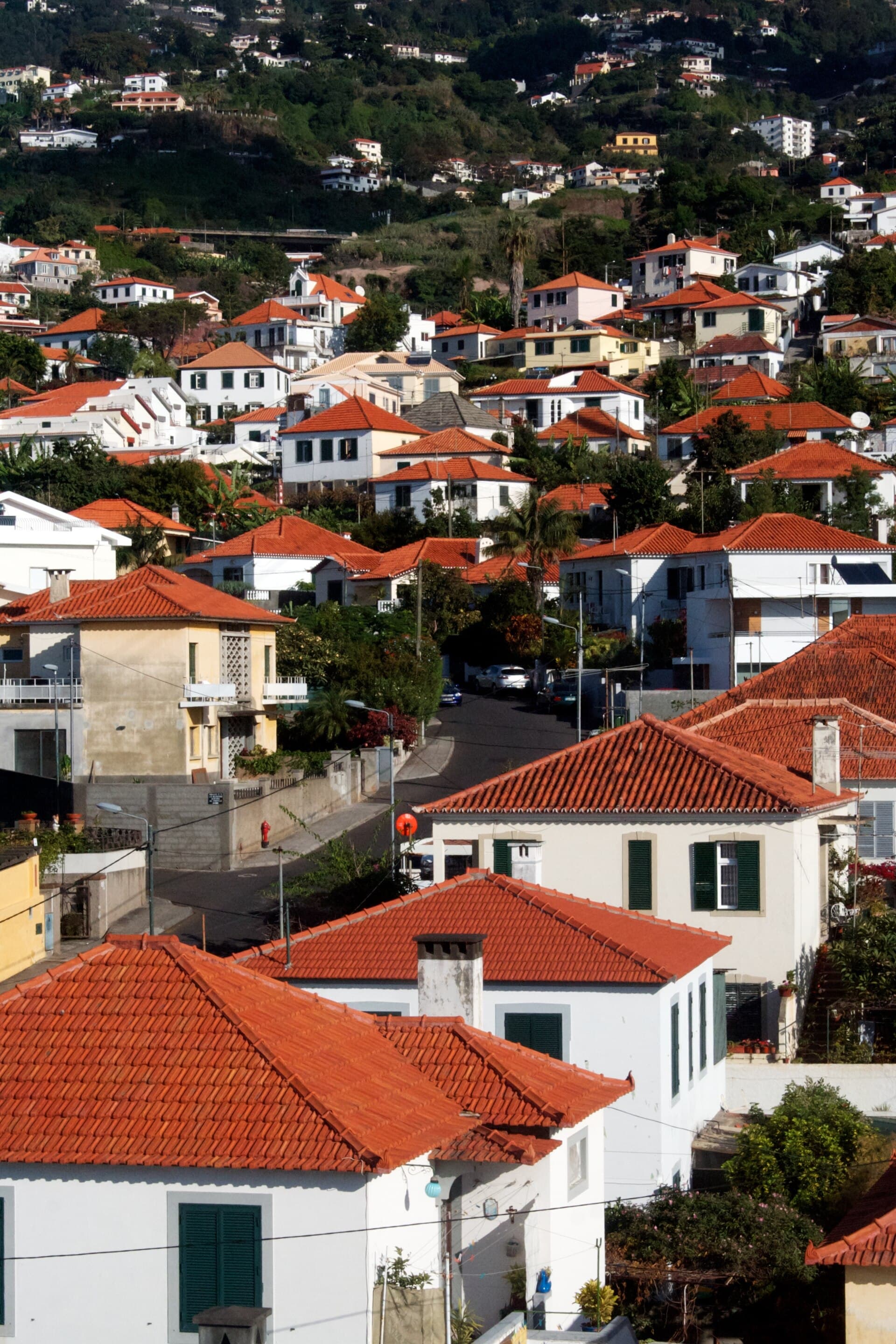 Funchal rooftops — photo by Alexander Baxevanis, CC BY 2.0, via Wikimedia Commons