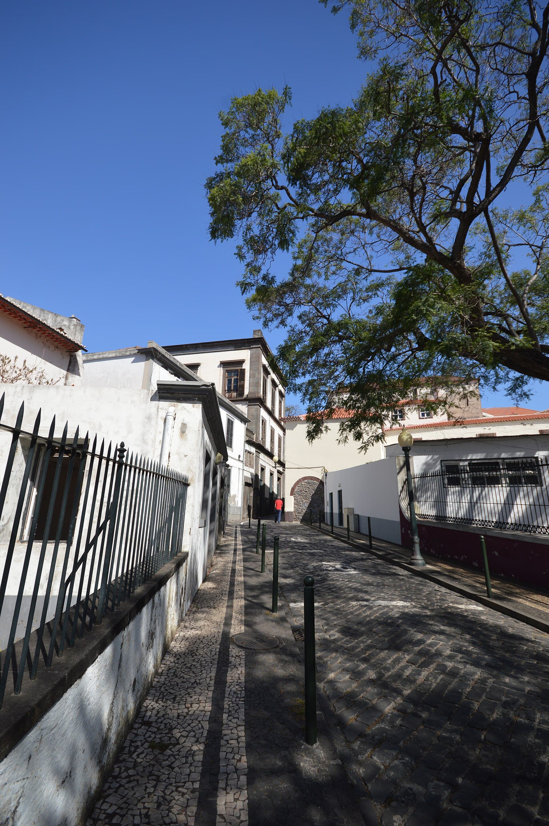 Rua do Castanheiro — photo by Michael Gaylard from Horsham, UK, CC BY 2.0, via Wikimedia Commons
