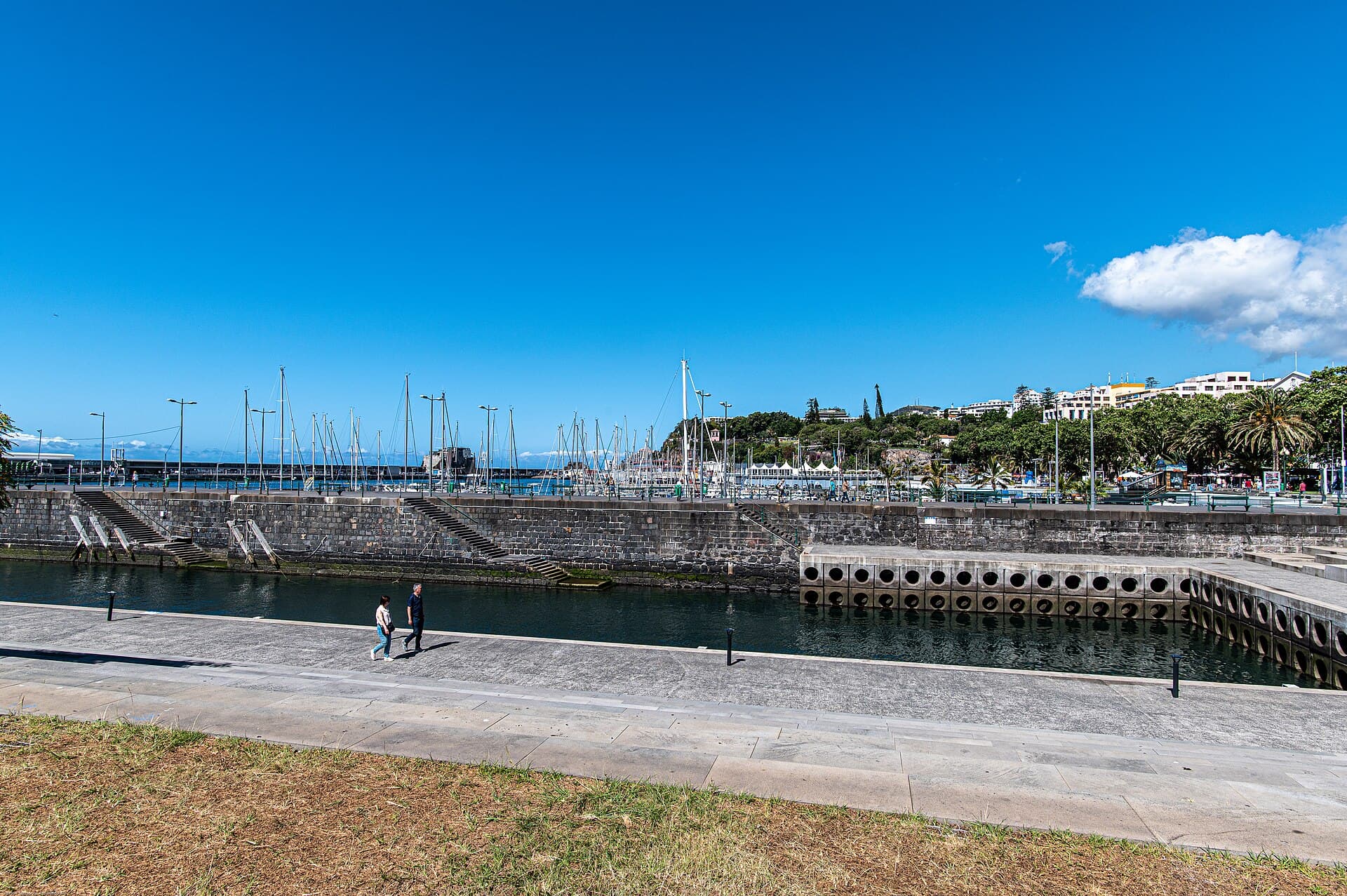 Câmara de Lobos harbour — photo by Michael Gaylard from Horsham, UK, CC BY 2.0, via Wikimedia Commons