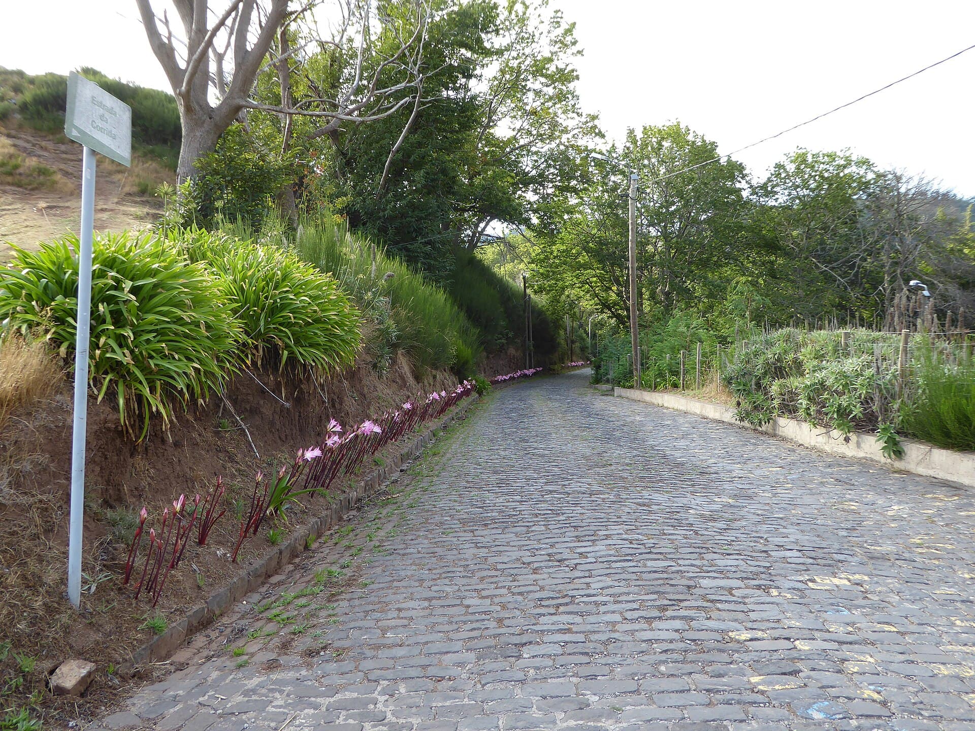 Jardim da Serra highlands — photo by Mattes, CC BY-SA 4.0, via Wikimedia Commons