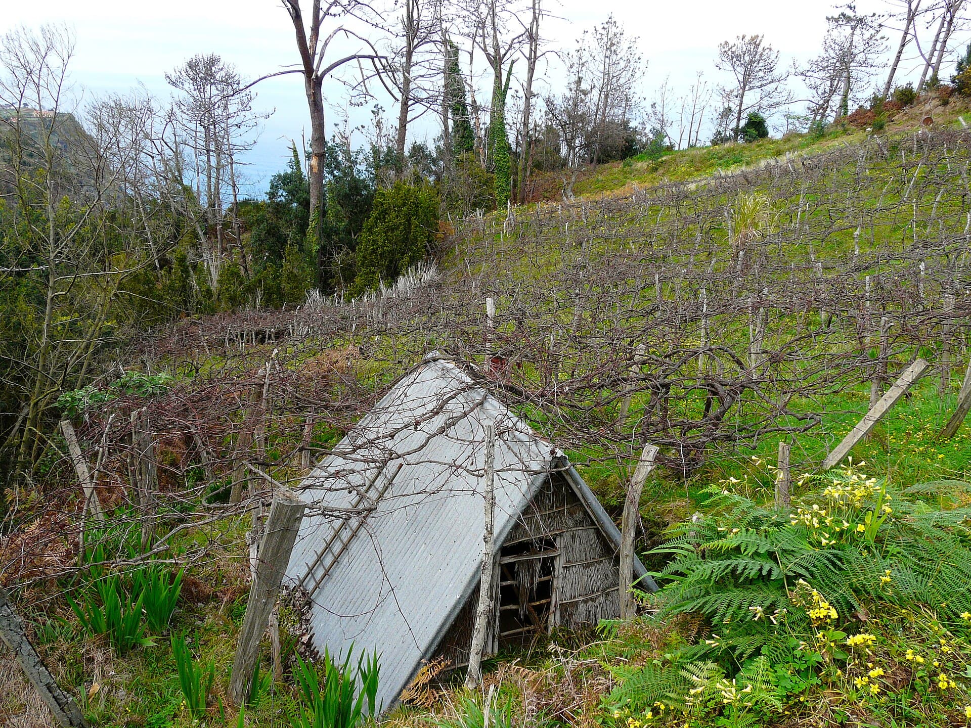 Vineyard cabin at Quinta do Furão — photo by franek2, CC BY-SA 3.0, via Wikimedia Commons